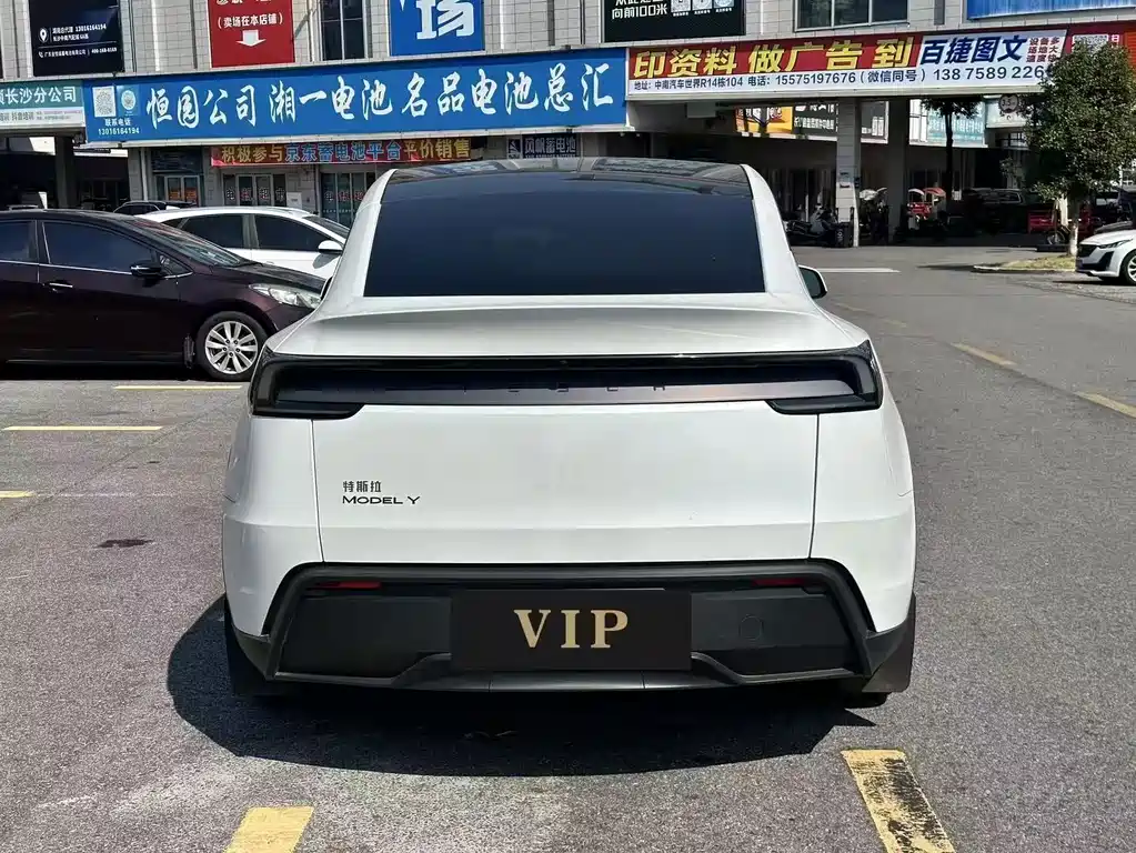 Tesla Model Y — миниатюра 4