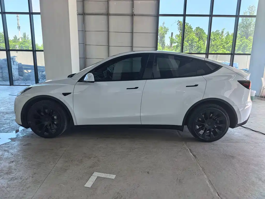 Tesla Model Y — миниатюра 2