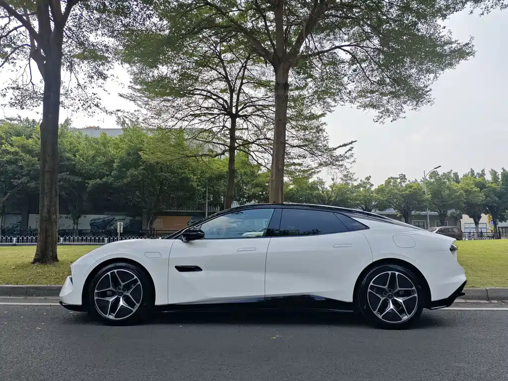 Lotus EMEYA — миниатюра 4