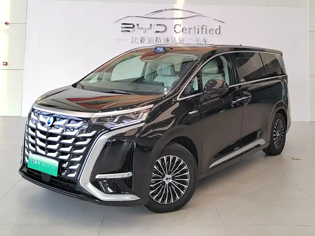Denza D9