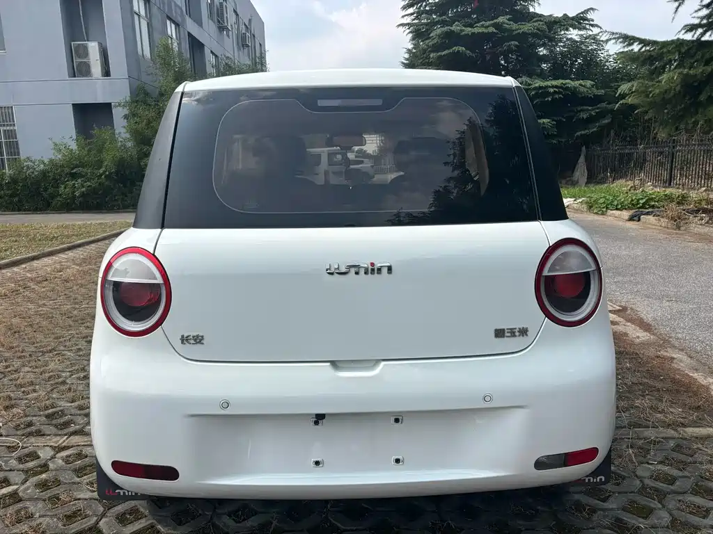 Qiyuan Lumin — миниатюра 5