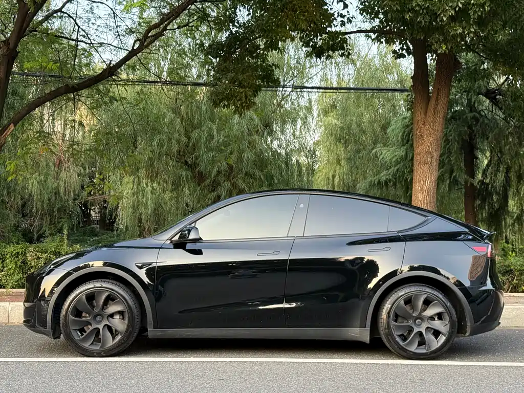 Tesla Model Y — миниатюра 2