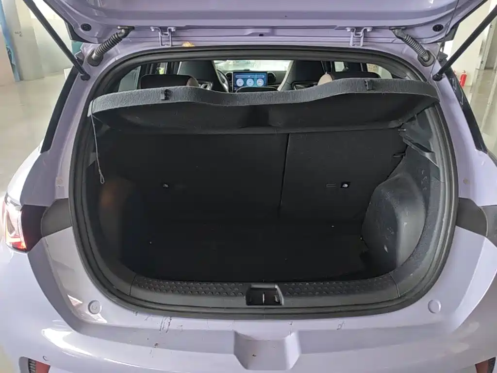 BYD Dolphin — миниатюра 19