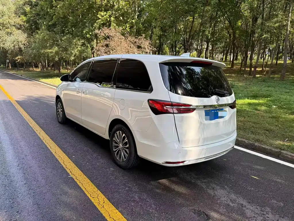 Buick GL8 — миниатюра 4