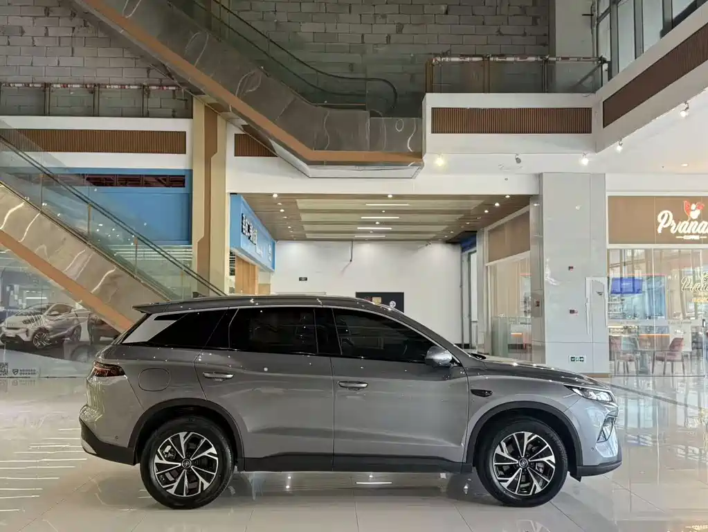 BYD Pro New Energy — миниатюра 5