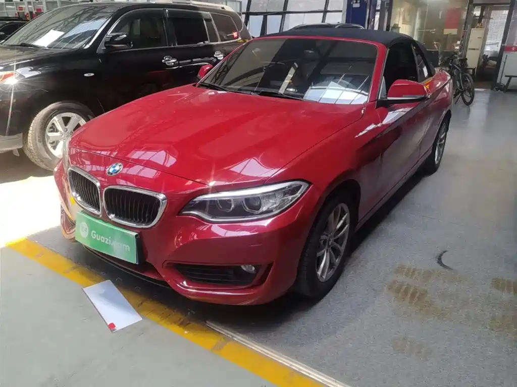 BMW 2 Series (Import) 2016