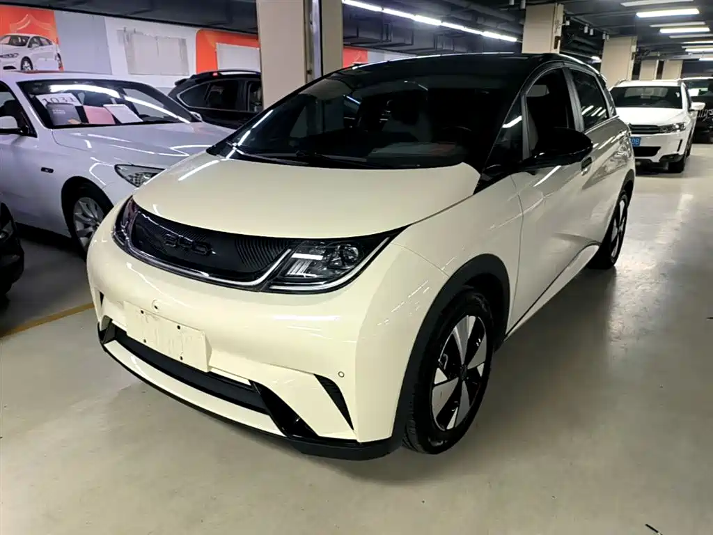 Byd Dolphin 2023