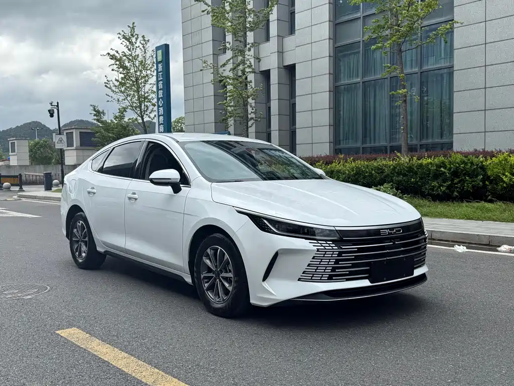 BYD Destroyer 05 — миниатюра 3