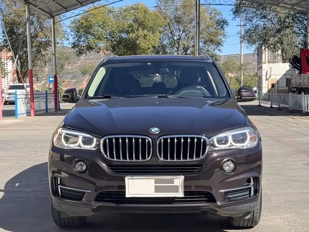 BMW X5 (Import) — миниатюра 2