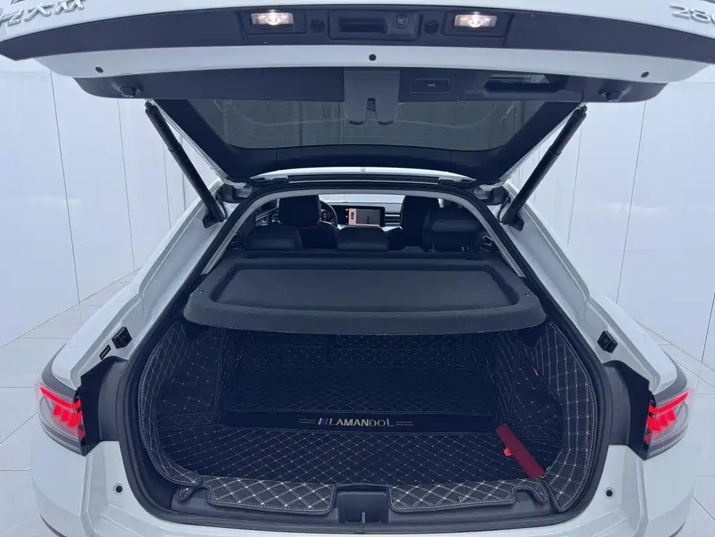 Volkswagen Lamando — миниатюра 9