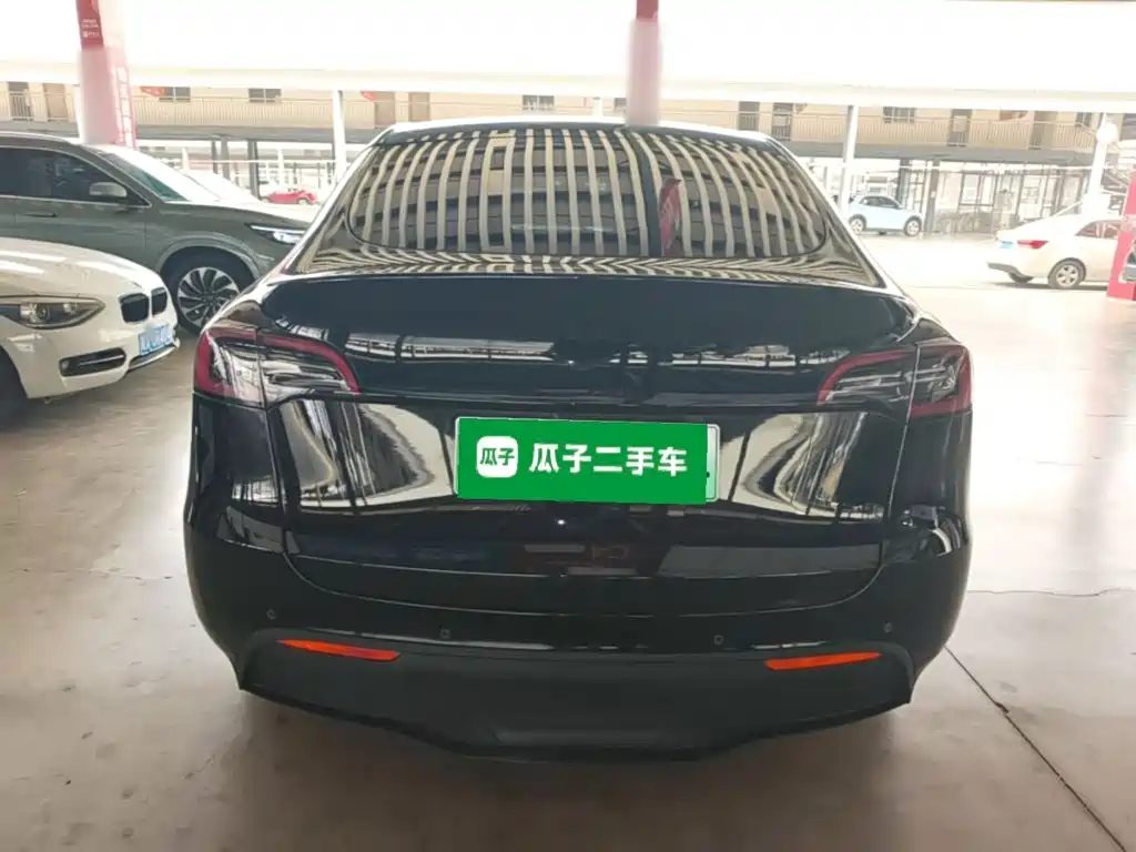 Tesla Model Y — миниатюра 6