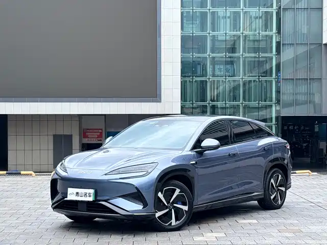 2024 BYD Sea Lion