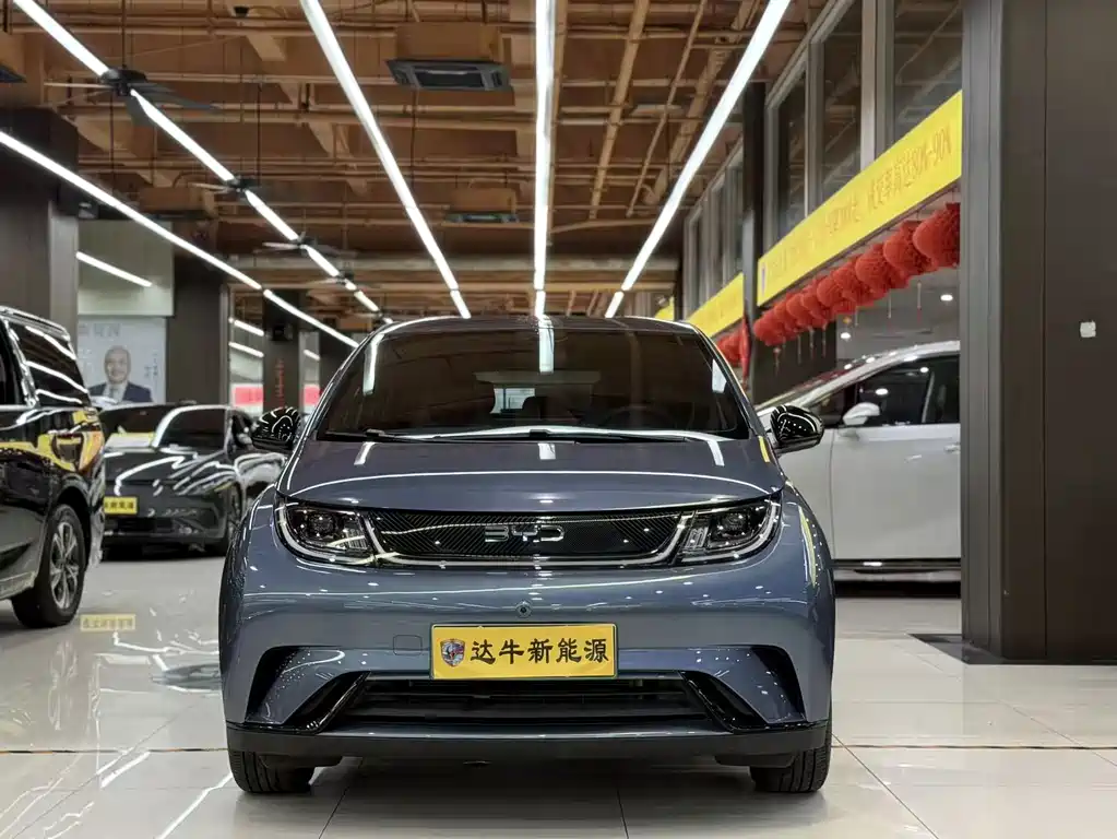 BYD Dolphin — миниатюра 2