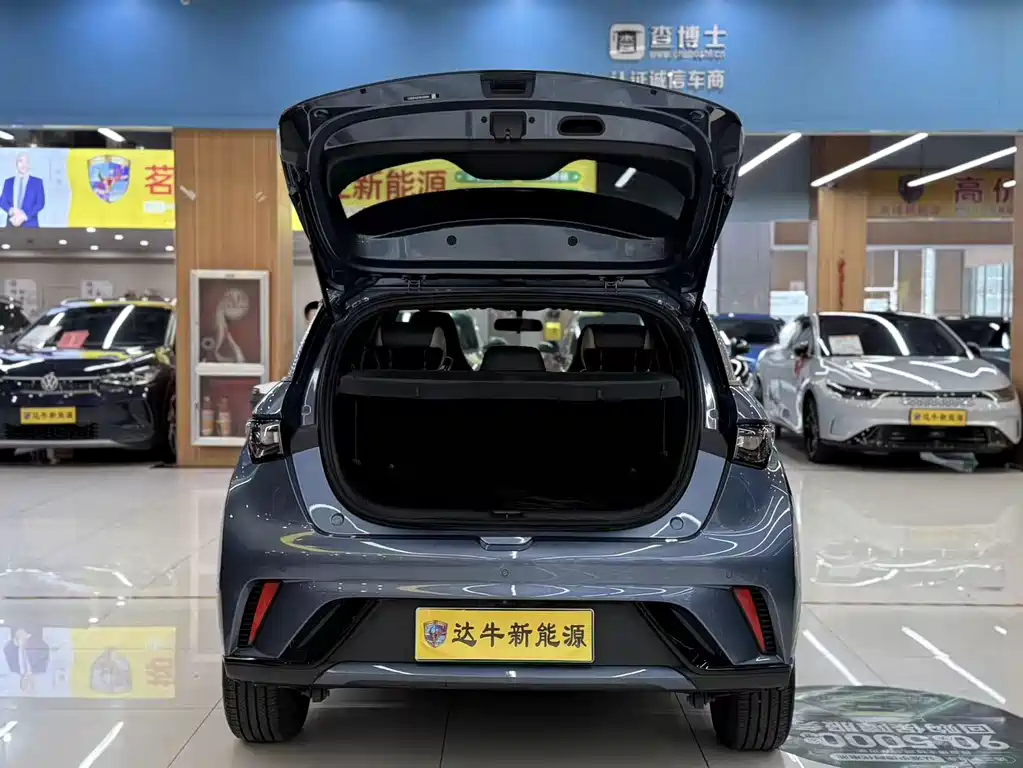 BYD Dolphin — миниатюра 7