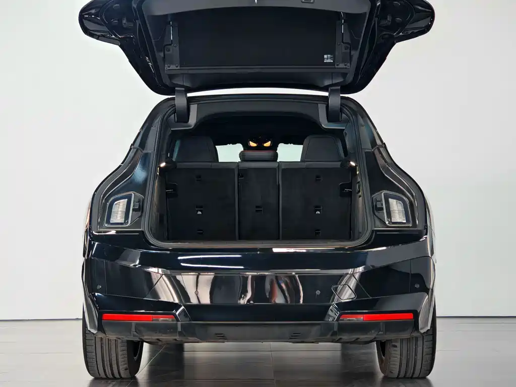 BMW iX — миниатюра 6