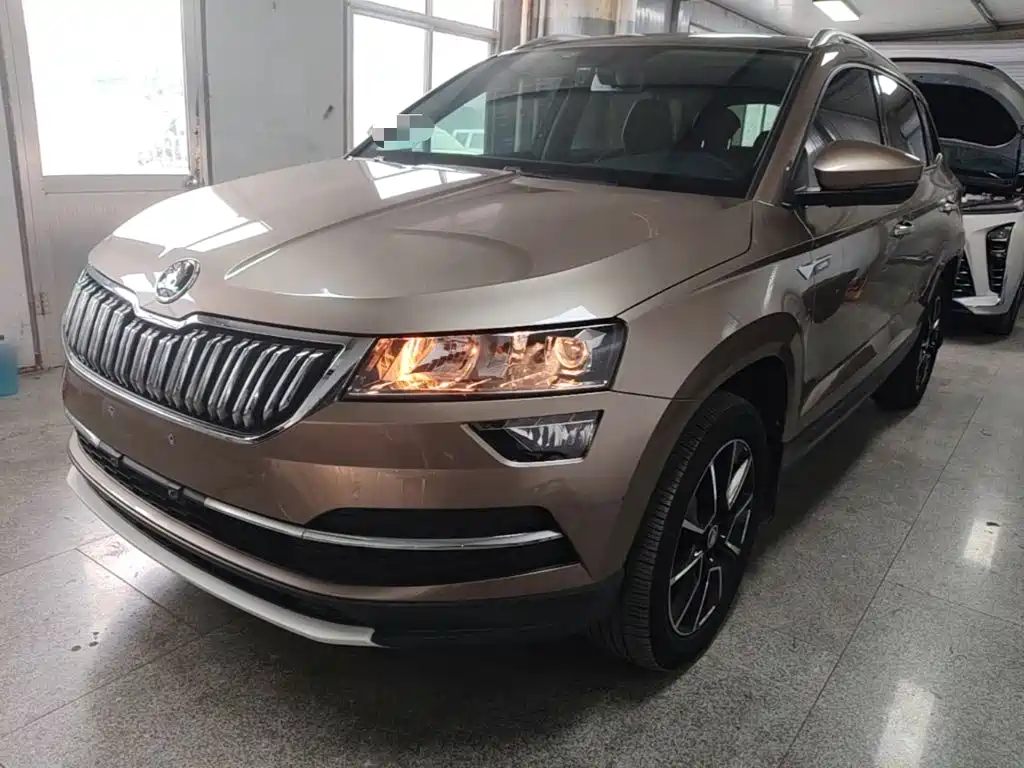 Skoda Karoq — миниатюра 2