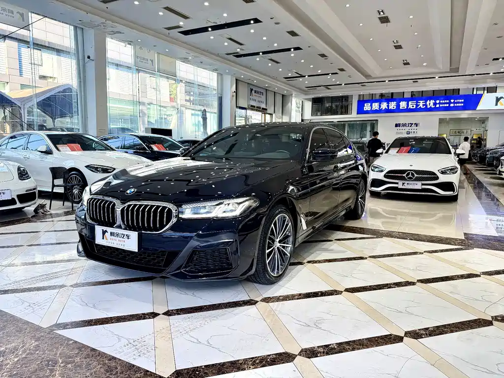 BMW 5 Series — миниатюра 2
