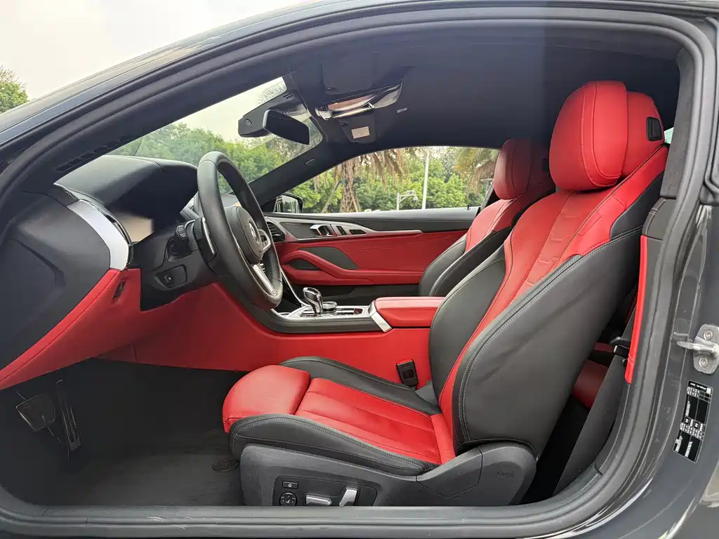 BMW 8 Series — миниатюра 5
