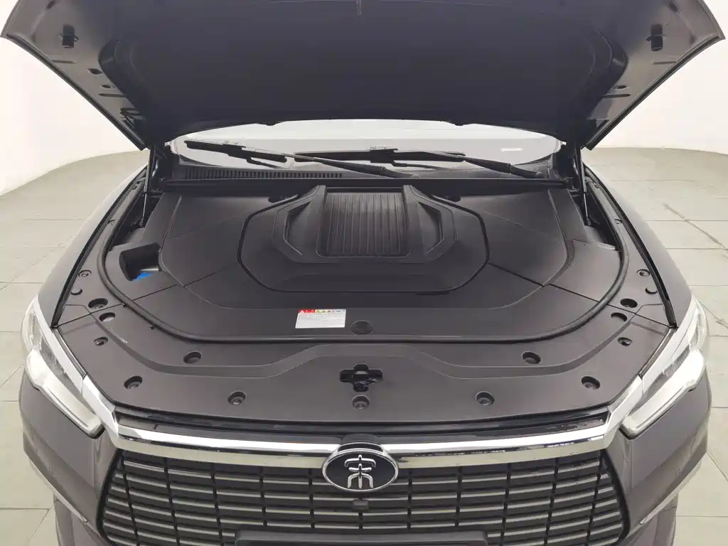 BYD Pro New Energy — миниатюра 6