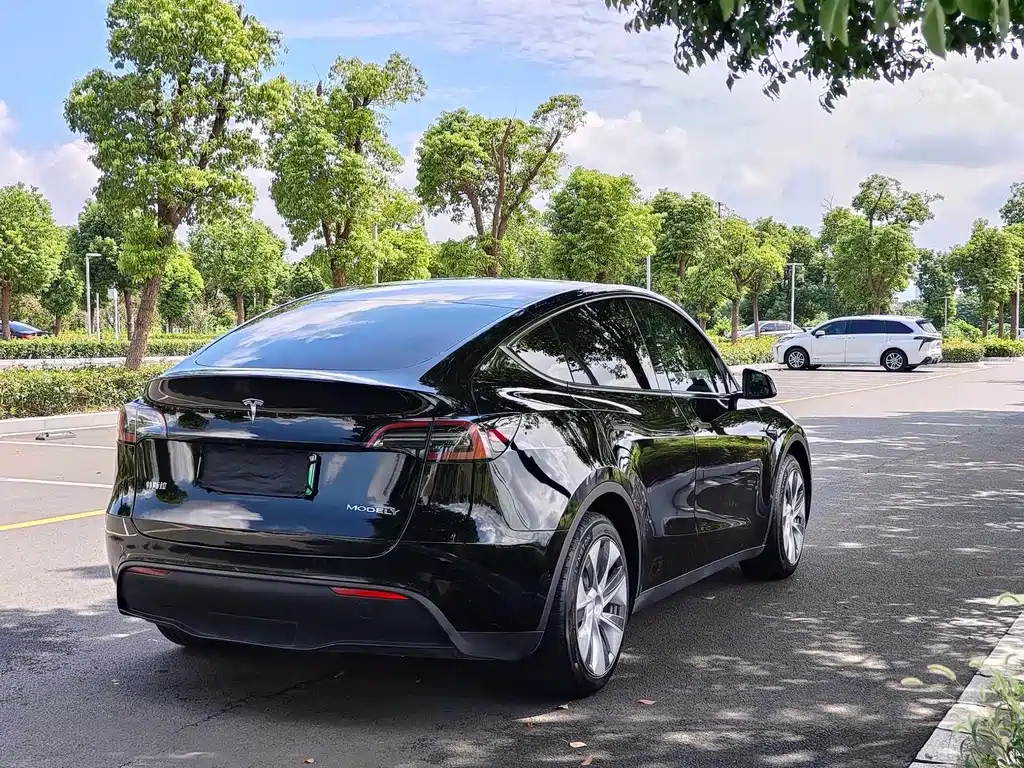 Tesla Model Y — миниатюра 8