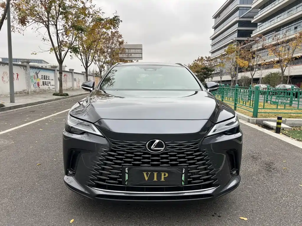 LEXUS RX NEW ENERGY