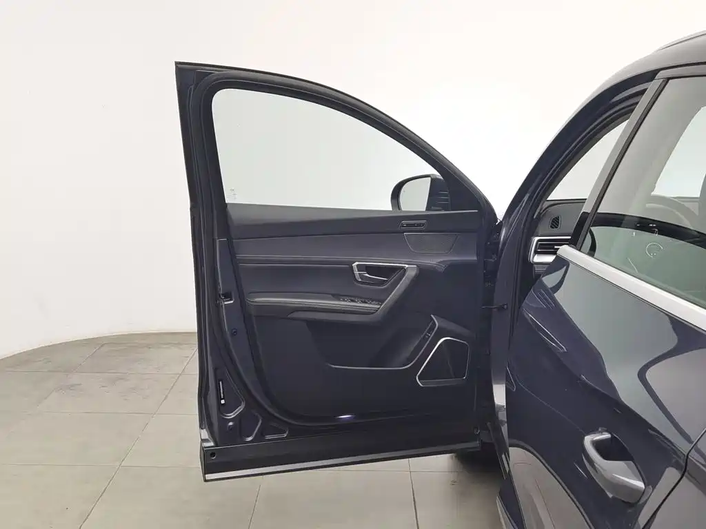 BYD Pro New Energy — миниатюра 8