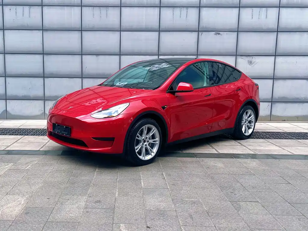 Tesla Model Y — миниатюра 2