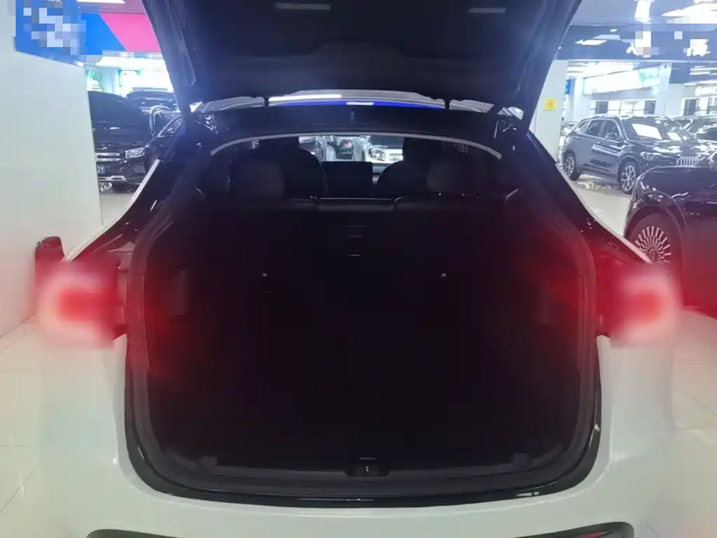 Tesla Model Y — миниатюра 19