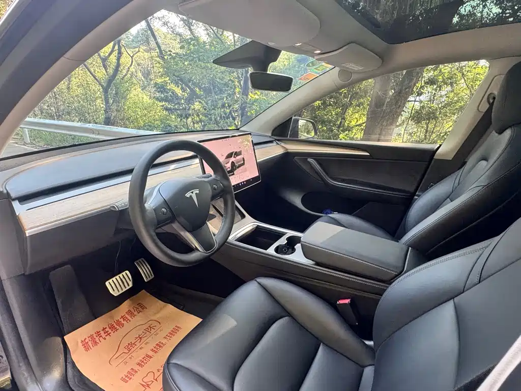Tesla Model Y — миниатюра 6