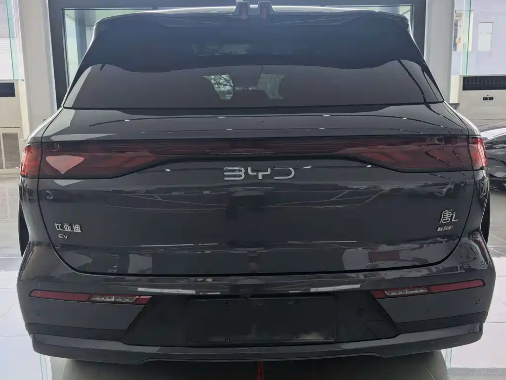 BYD Дон Л. — миниатюра 8