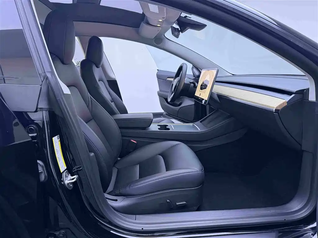 Tesla Model 3 — миниатюра 11
