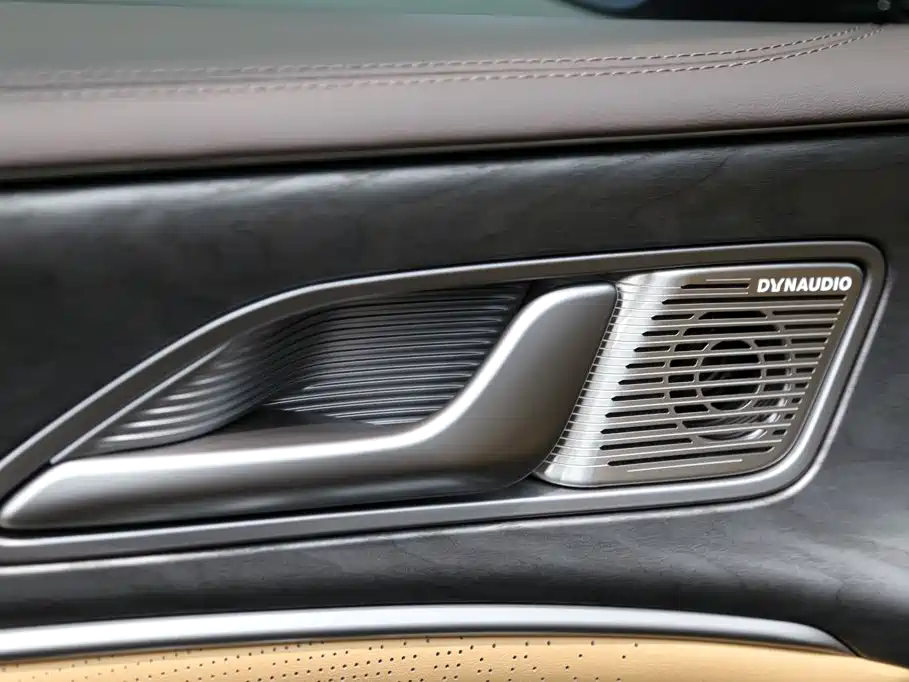 Denza Denza D9 — миниатюра 11