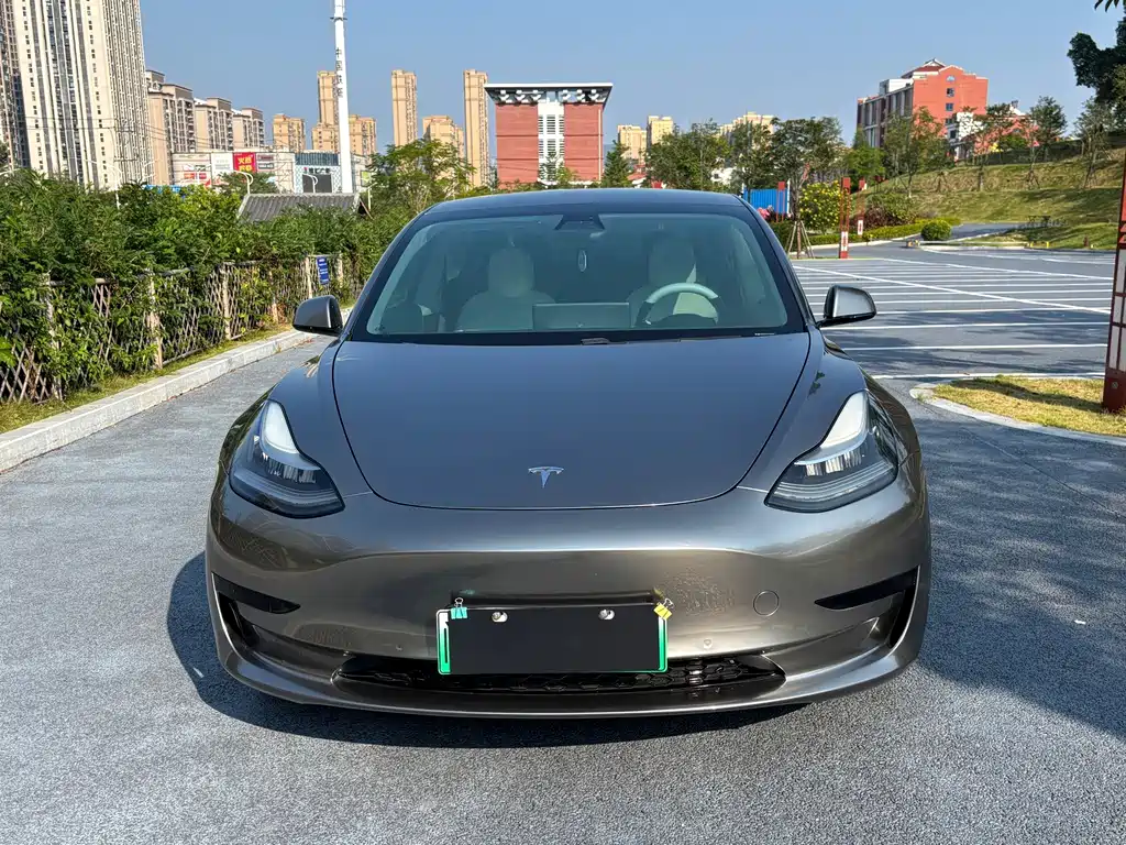 Tesla Model 3 — миниатюра 2