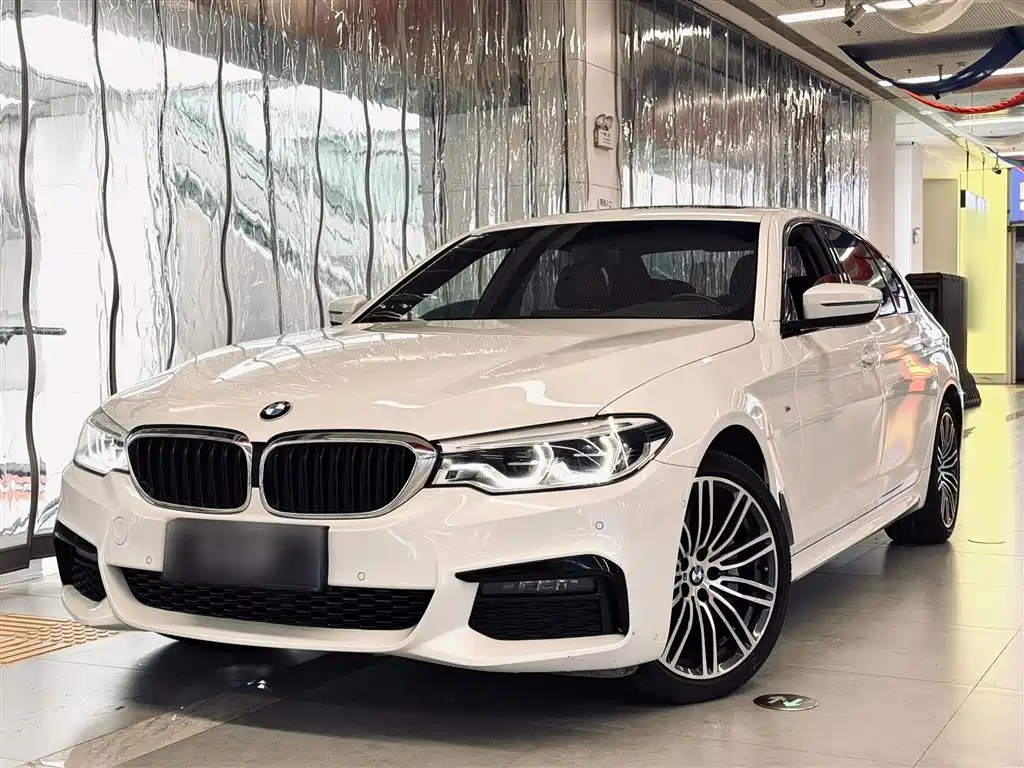 BMW 5 Series 2019