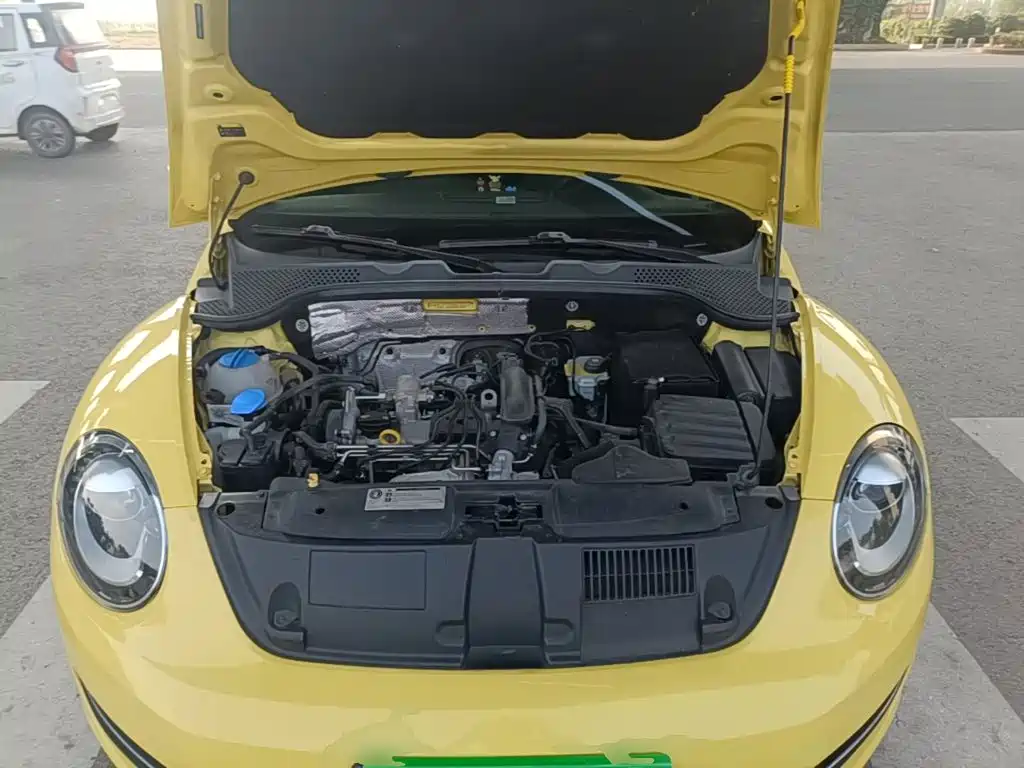 Volkswagen Beetle — миниатюра 20