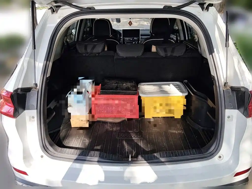 Haval M6 — миниатюра 20