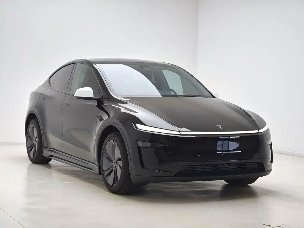 Tesla Model Y — миниатюра 3