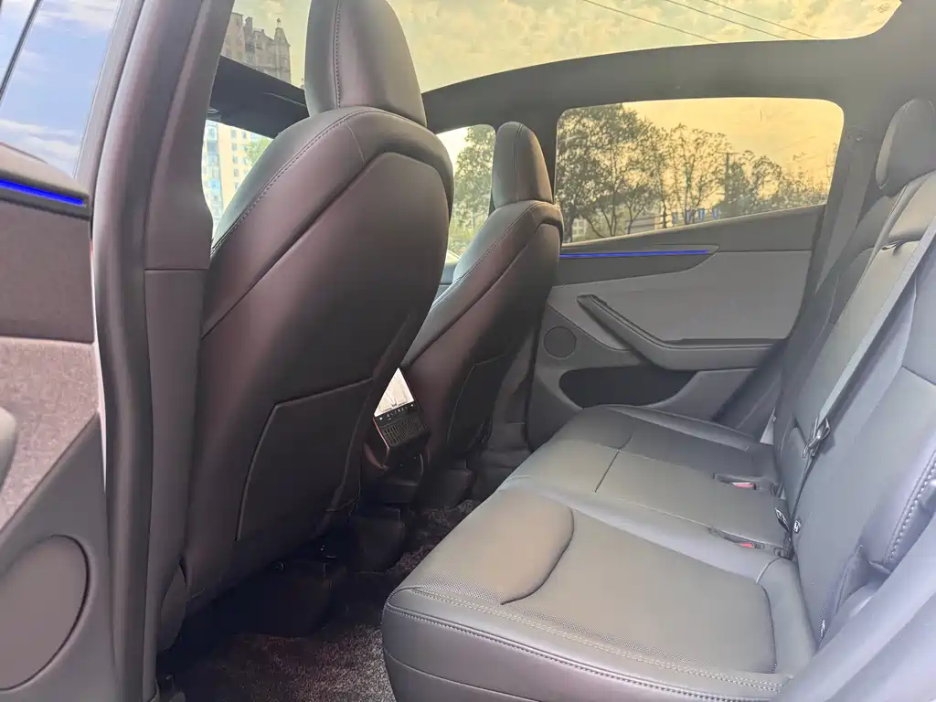 Tesla Model Y — миниатюра 6