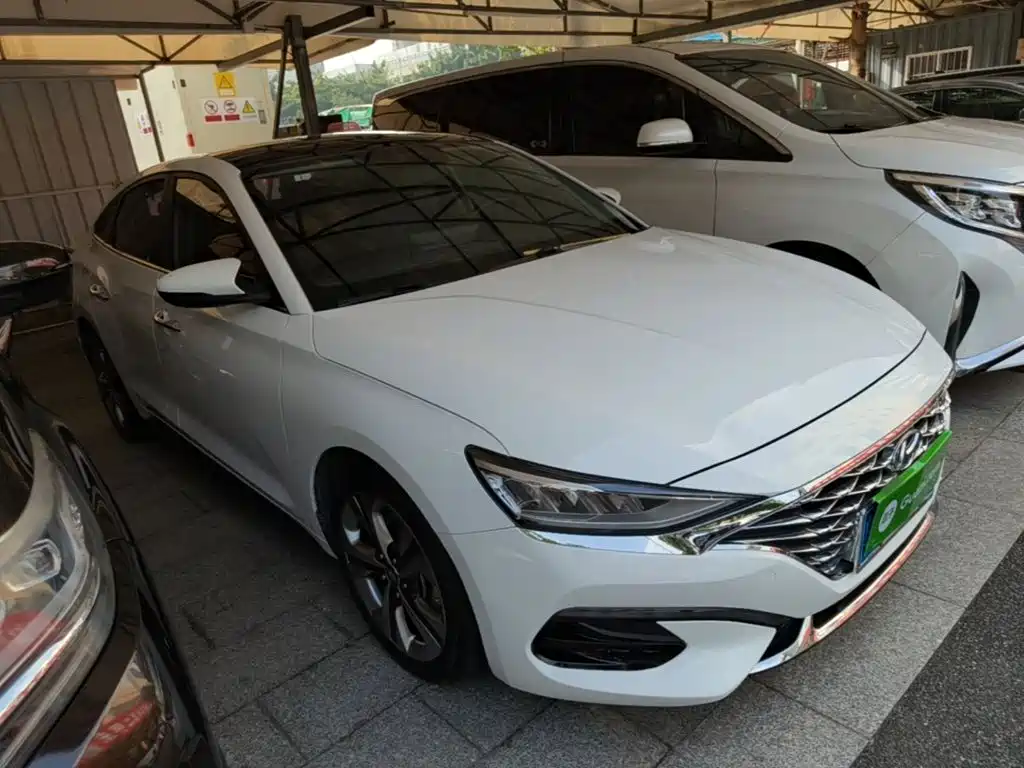 Hyundai Fista — миниатюра 4