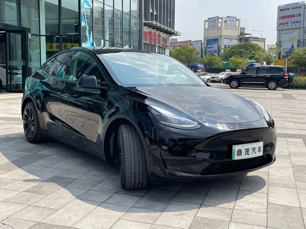 Tesla Model Y — миниатюра 8