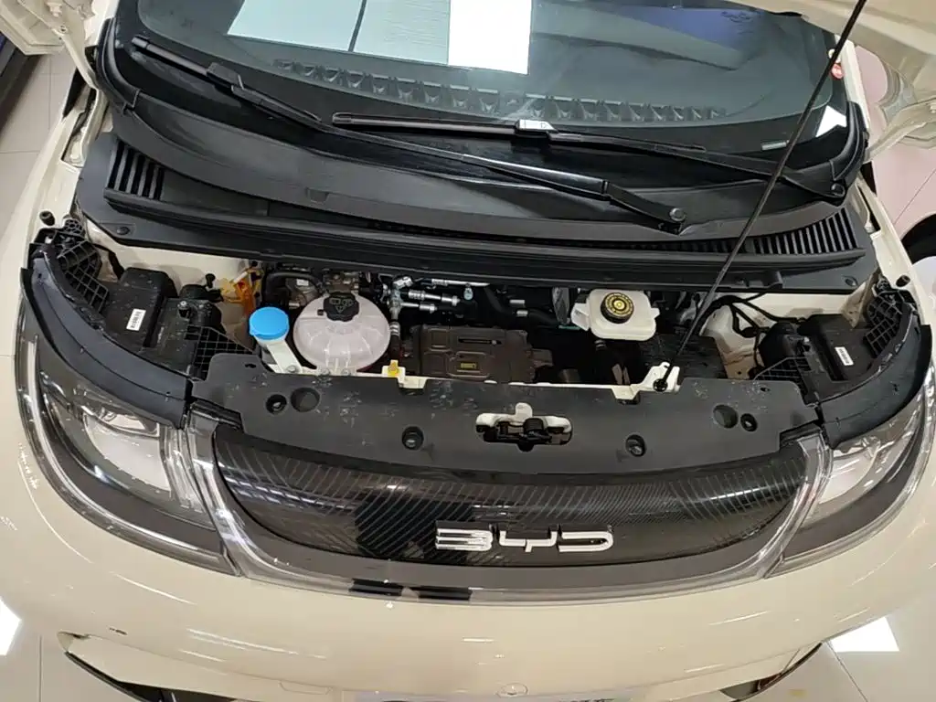 BYD Dolphin — миниатюра 20