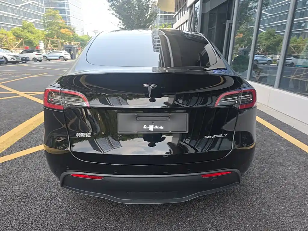 Tesla Model Y — миниатюра 6