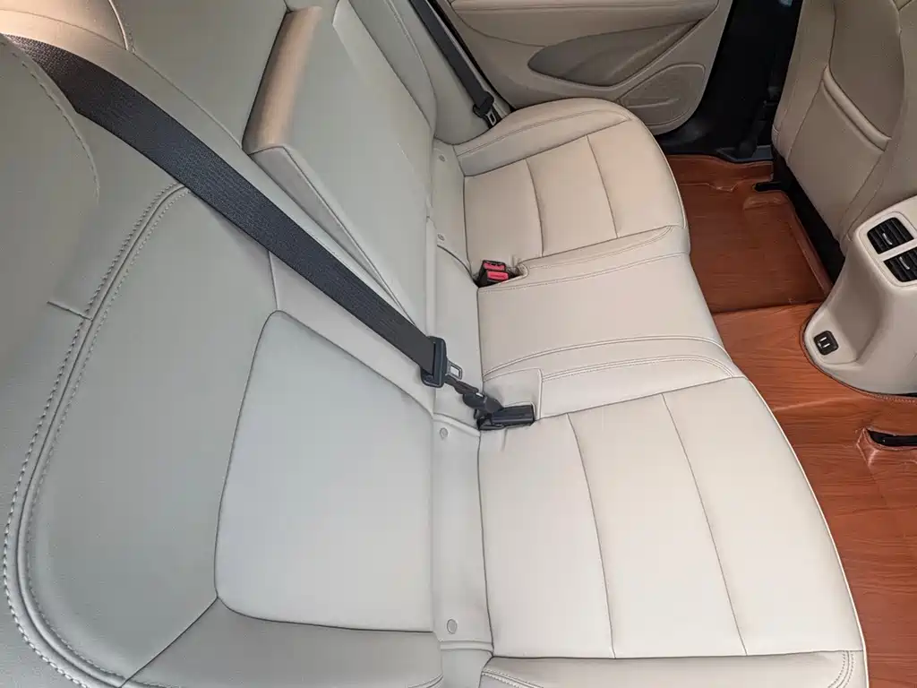 Buick Regal — миниатюра 10
