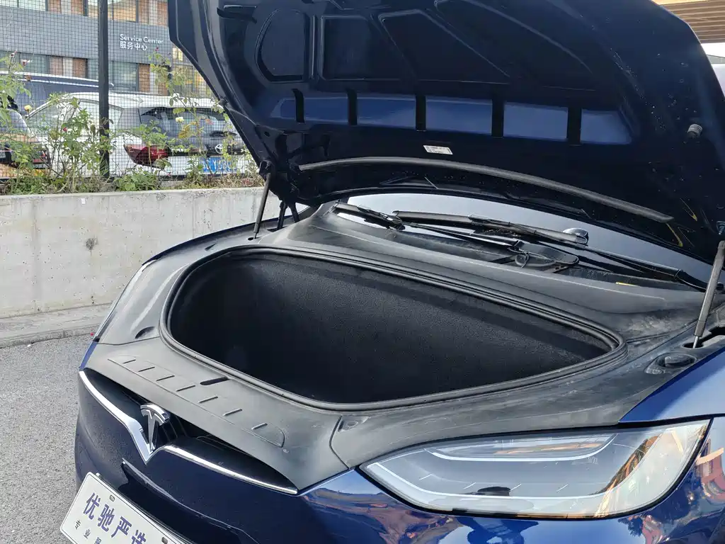 Tesla Model X — миниатюра 25