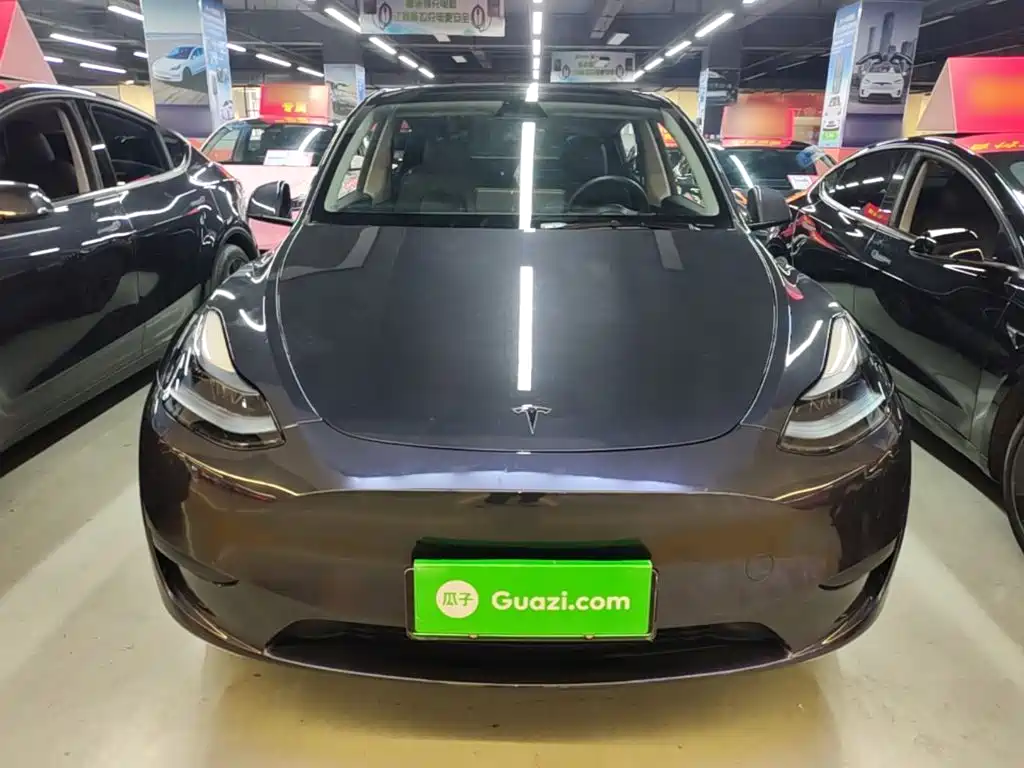 Tesla Model Y — миниатюра 3