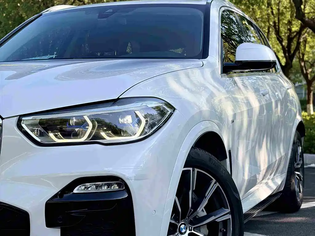 BMW X5 (Import) — миниатюра 5