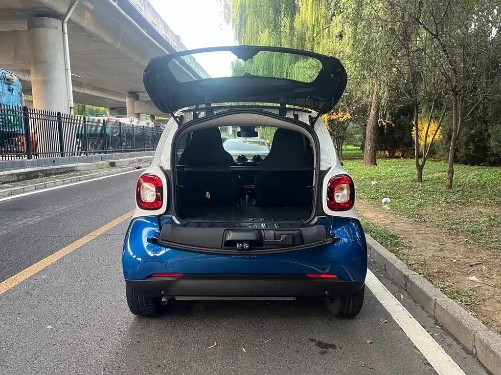 smart Smart Fortwo — миниатюра 13