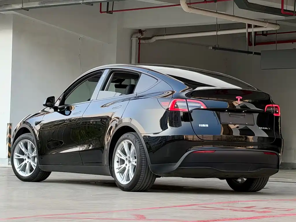 Tesla Model Y — миниатюра 4