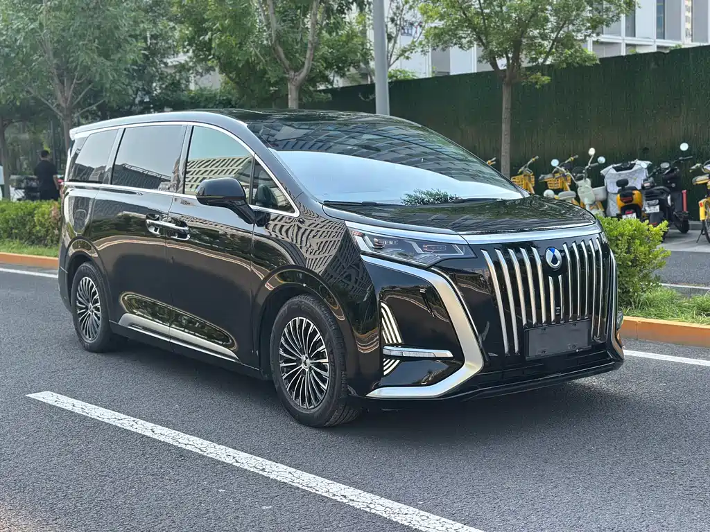 Denza Denza D9 — миниатюра 3