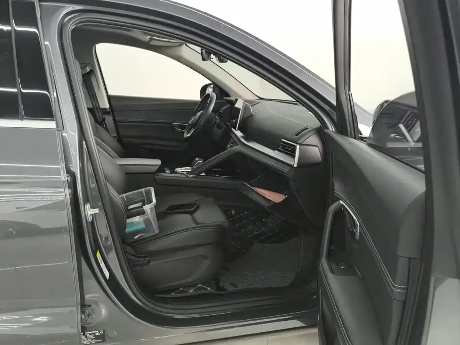 BYD Pro — миниатюра 8